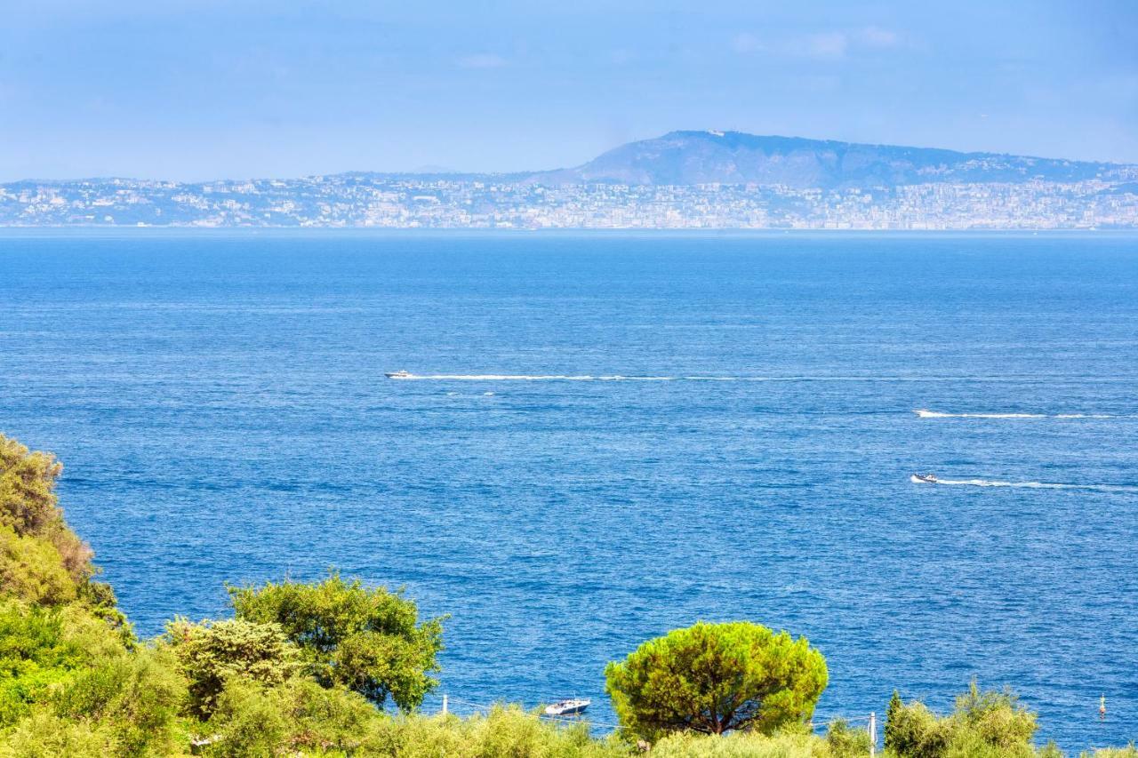 Dreaming 2* Sorrente